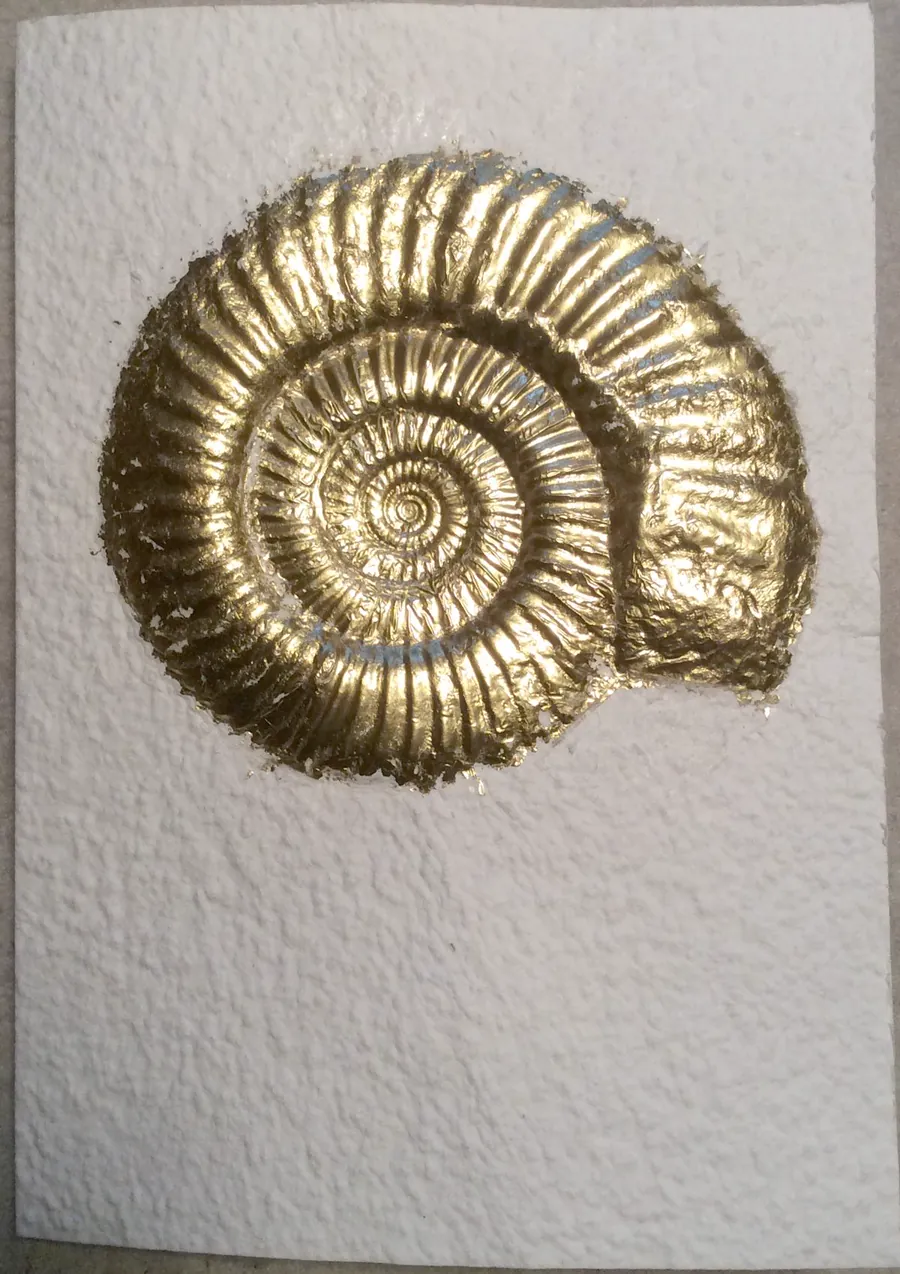Fóssil de espiral dourada